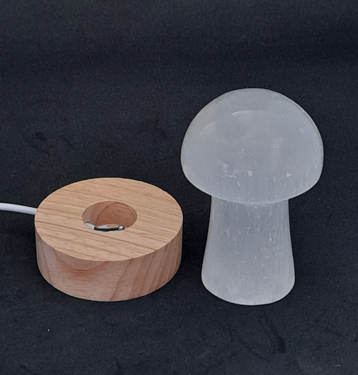 Led Light Mushroom Selenite