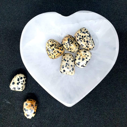 Tumbled Stone Dalmation Jasper