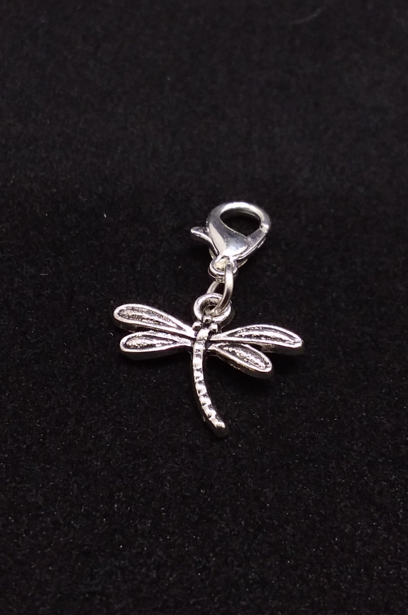 Charm - Dragonfly