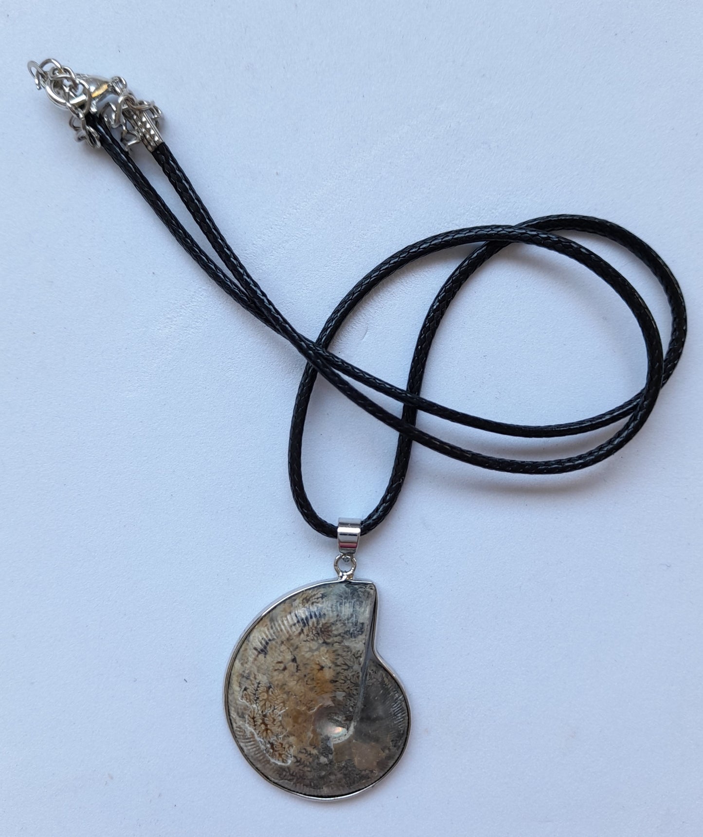 Necklace Fossil Shell