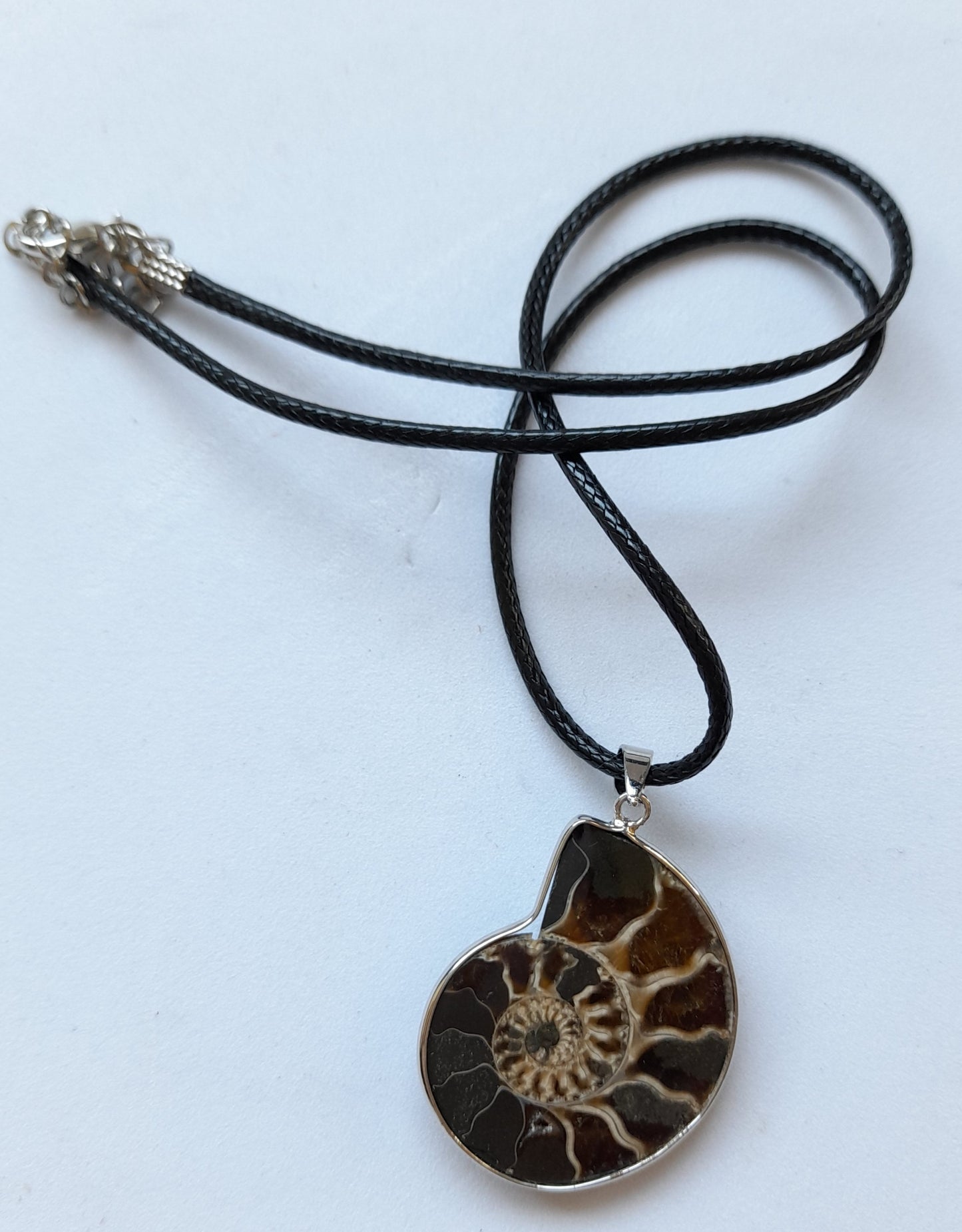 Necklace Fossil Shell