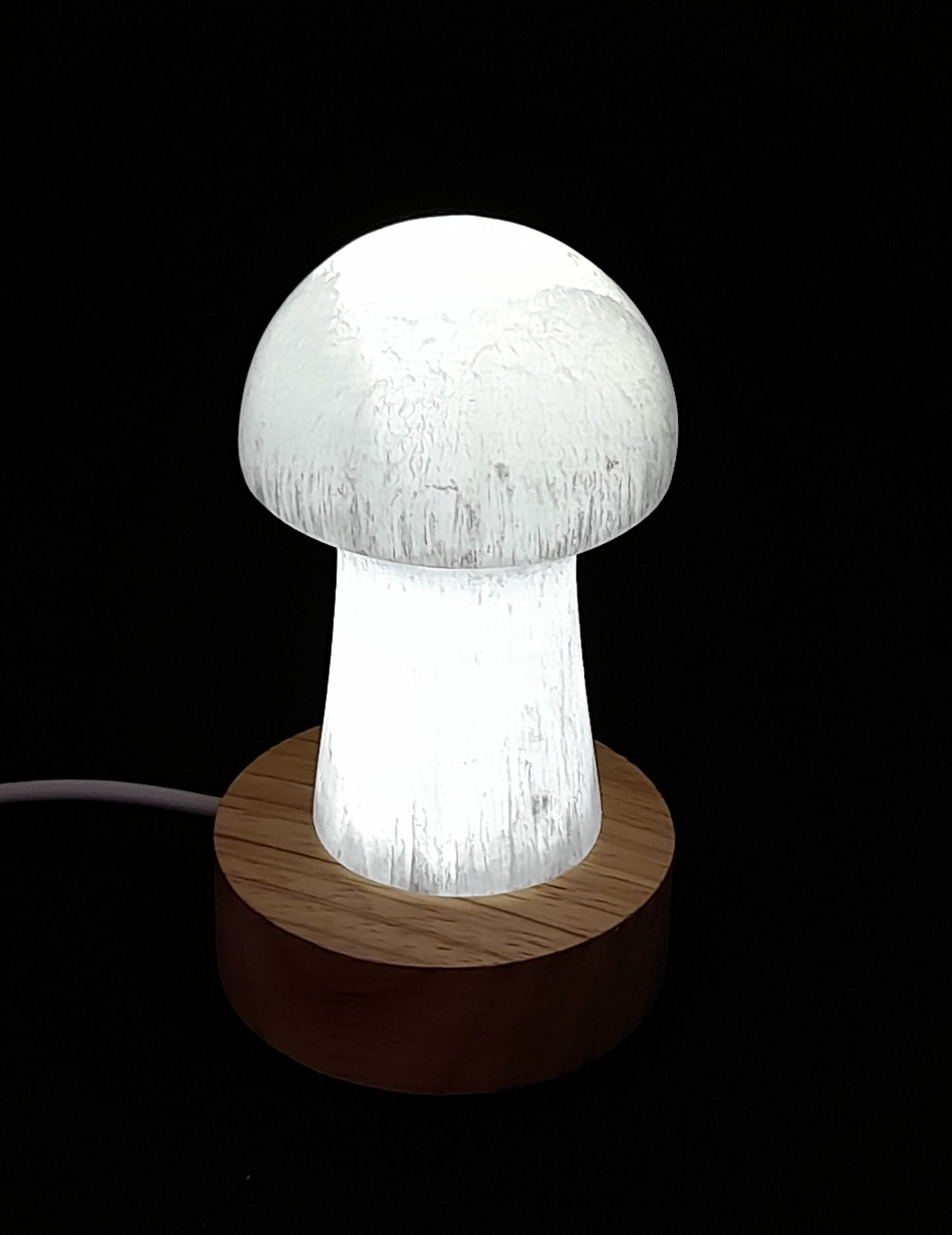 Led Light Mushroom Selenite