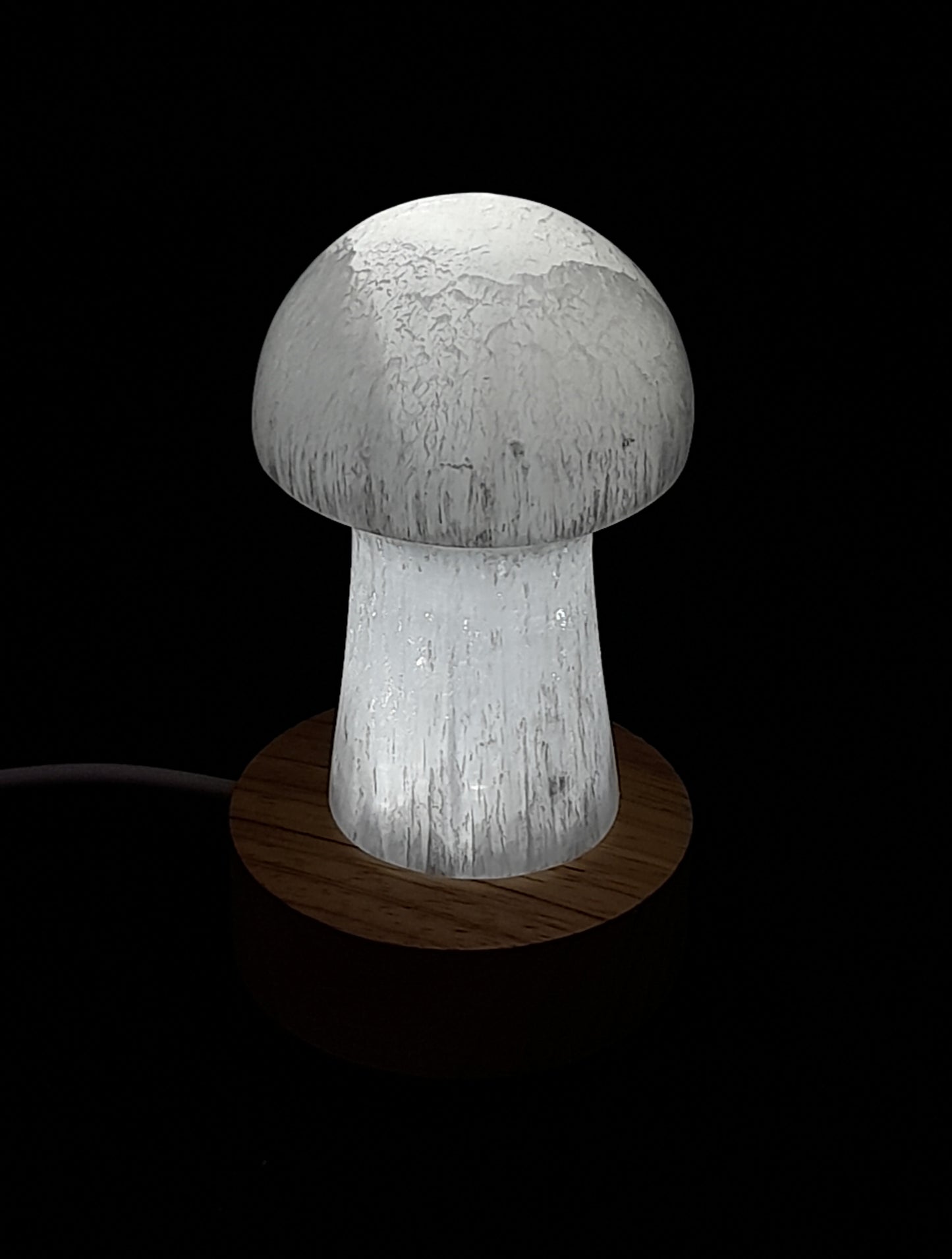 Led Light Mushroom Selenite